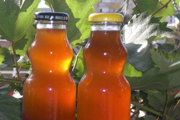 Must de Struguri Pentru Iarna