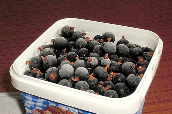 Coacaze Negre la Congelator